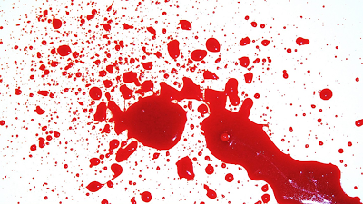 De sangue boi de chão