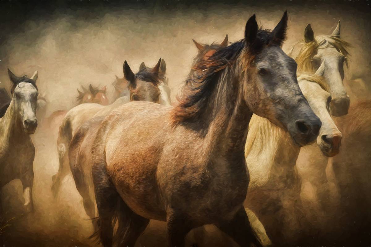 → Sonhar Com Cavalo - Descubra os Significados e Previsões