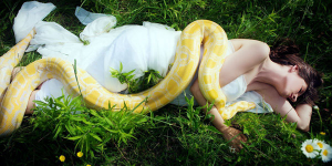 sonhar com cobra amarela te esmagando