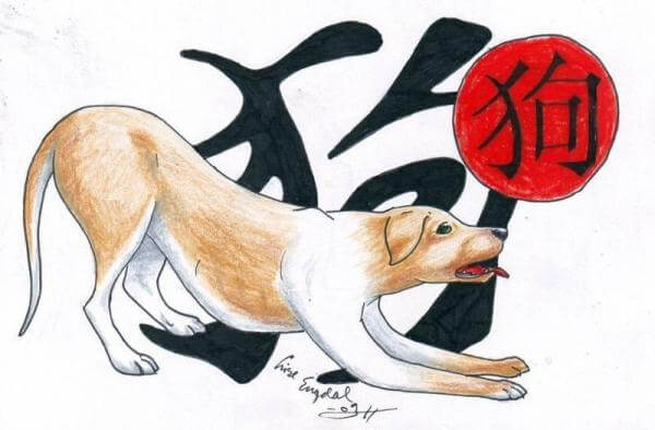 horoscopo chines cao personalidade