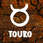 Signo de Touro – Características e Personalidade dos taurinos | GUIA COMPLETO