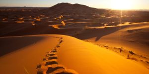 sonhar com deserto