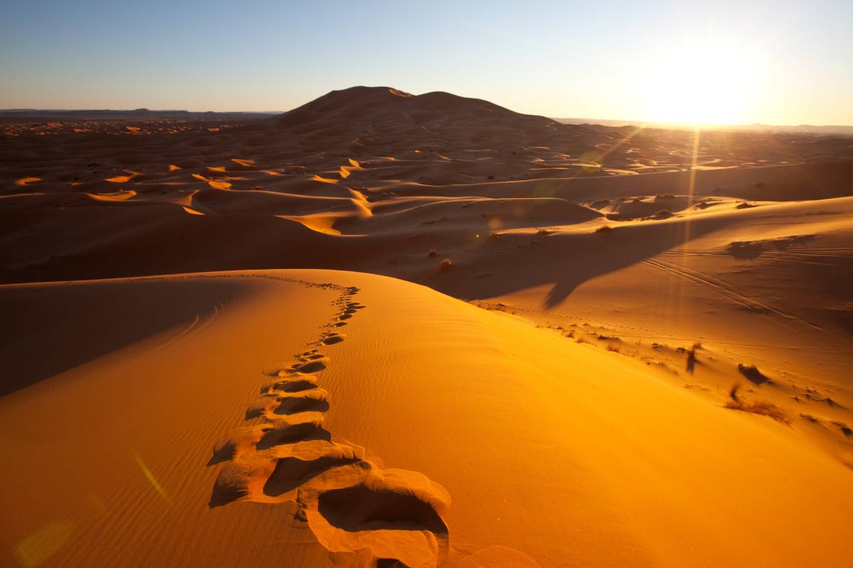 Sonhar com deserto: veja aqui o que isso significa