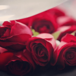 Sonhar com rosas vermelhas: o que isso quer dizer?