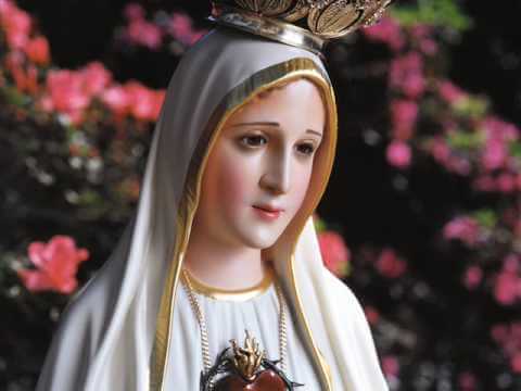 Sonhar com imagem de santo: o que isso significa? Sonhar com imagem de santo: o que isso significa?