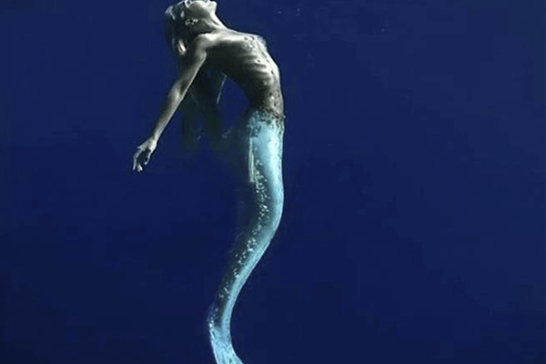 Sonhar com sereia: o que isso quer dizer? Veja aqui! Sonhar com sereia: o que isso quer dizer? Veja aqui!