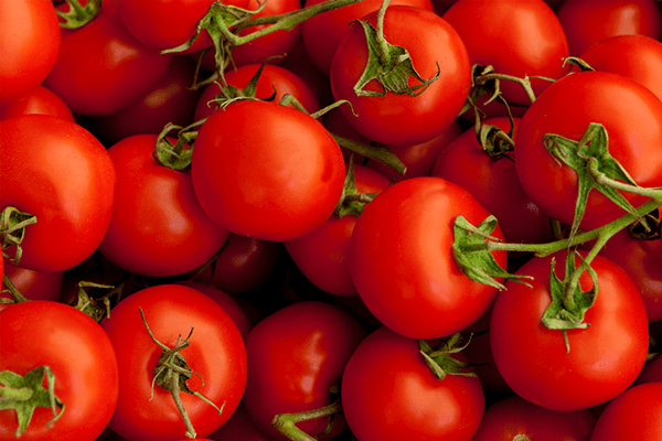 Sonhar com Tomate: o que isso quer dizer? Veja aqui!