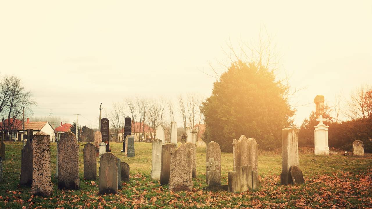 Sonhar com alguém que já morreu da família - Todos os significados!