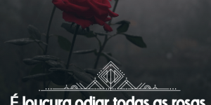 Frase curta para Status