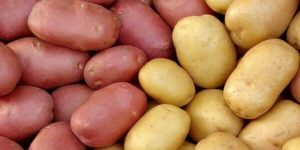 Sonhar com batata