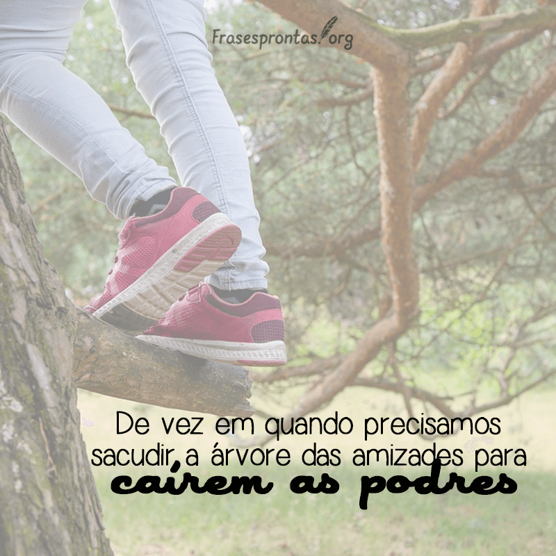 Frase de Amizade Falsa