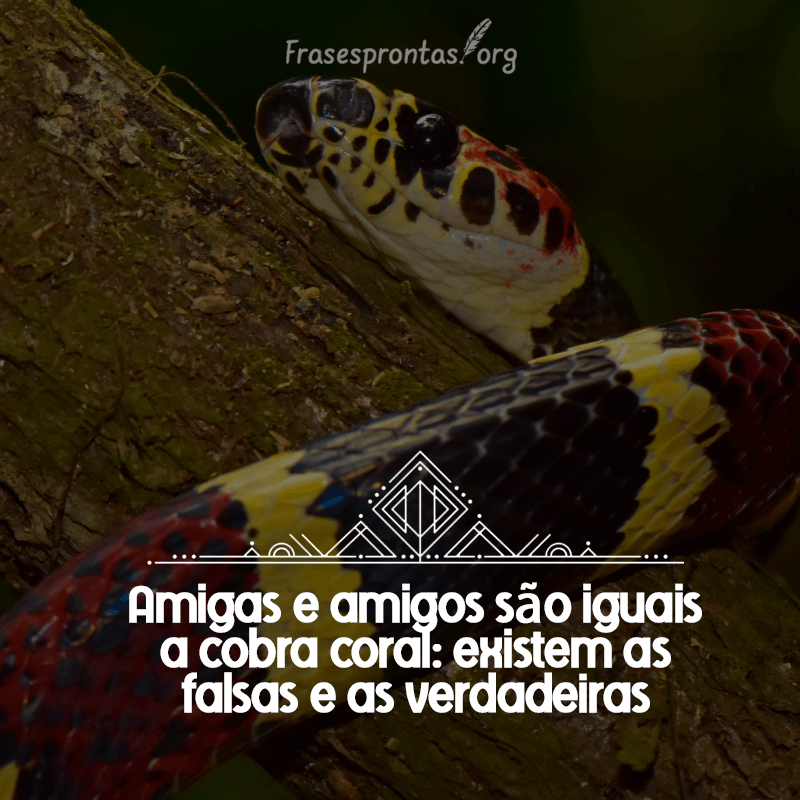 Frase de Amizade Falsa