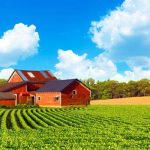 Sonhar com fazenda: é bom ou ruim? O que significa?