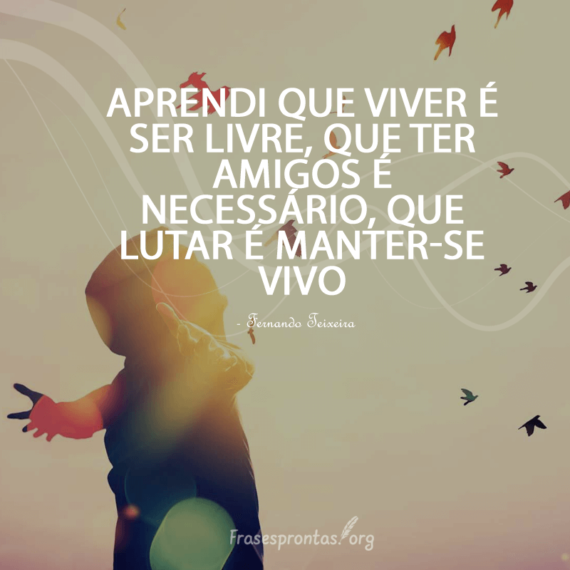 Frase Fernando Teixeira