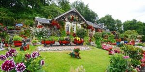 Sonhar com jardim