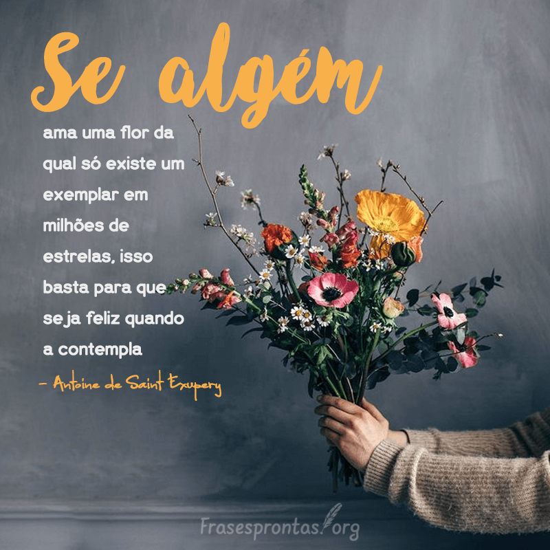 Frase Antoine Exupery