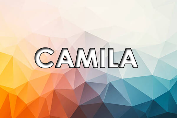 10 ideias de Significado do nome Camila❤️  significados dos nomes, nomes,  significados de nomes