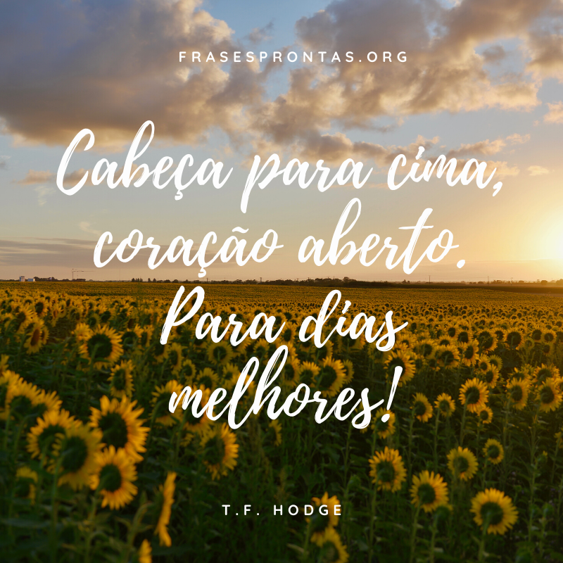 frase de otimismo frase de otimismo