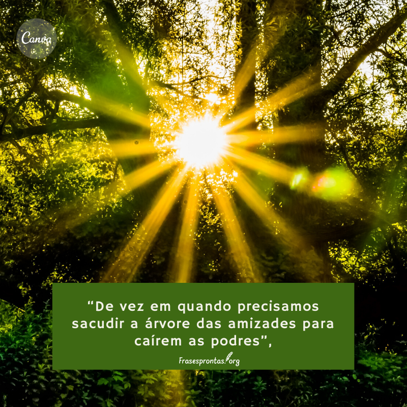 frase de decepção frase de decepção