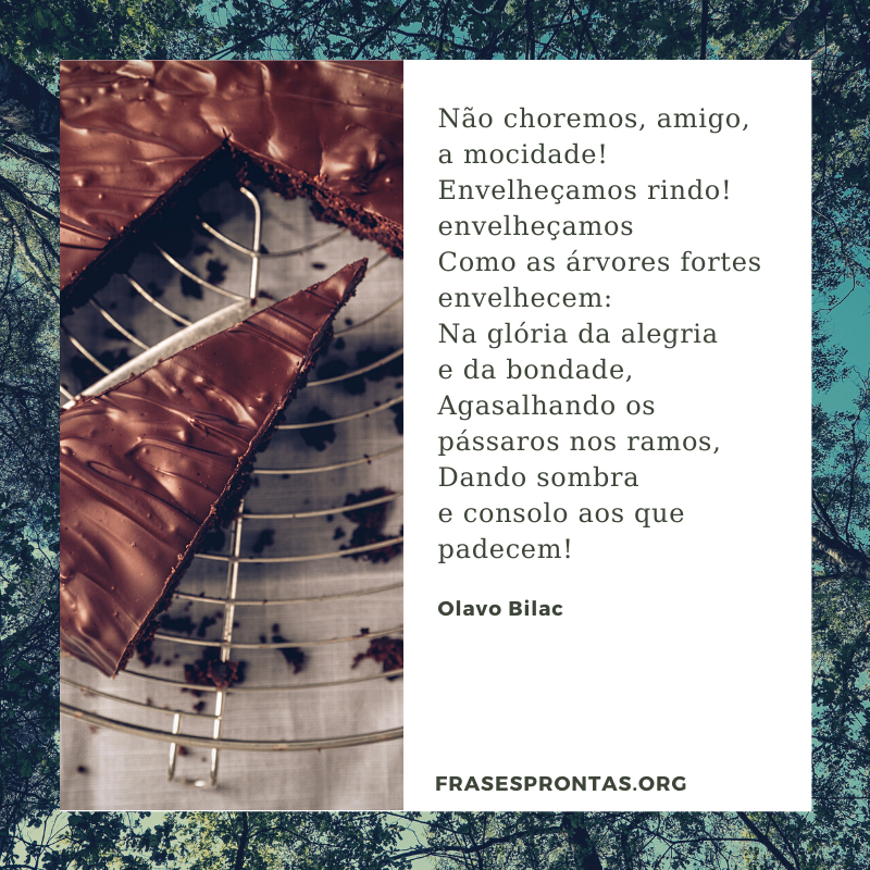 Frase linda sobre a vida Frase linda sobre a vida