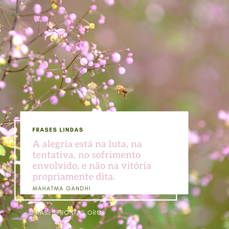 Frase linda para whatsapp Frase linda para whatsapp