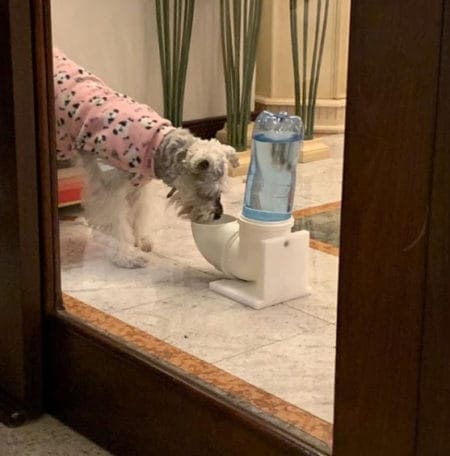 Hidropet - crianças criaram produto sustentável para pets