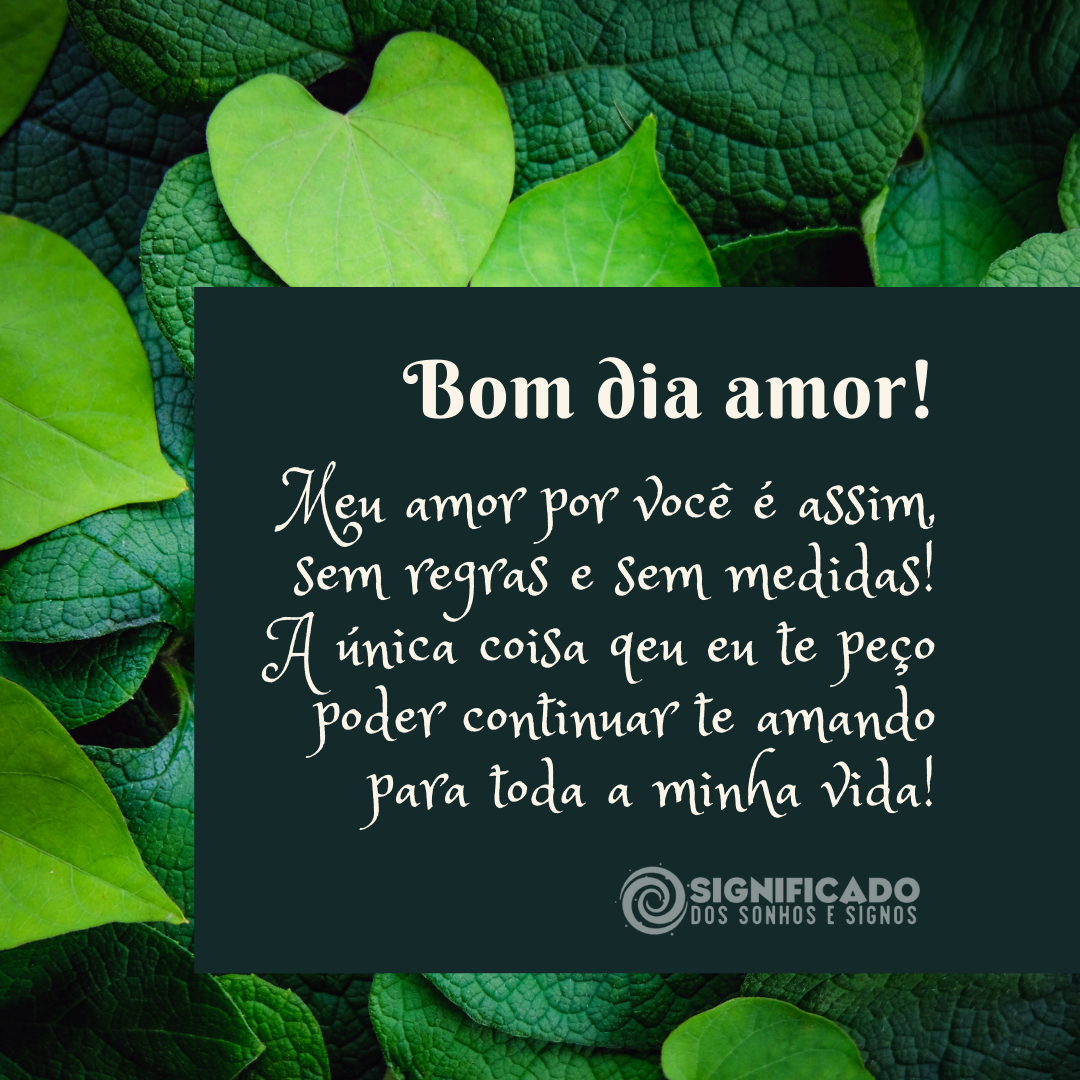 Bom dia amor te amor