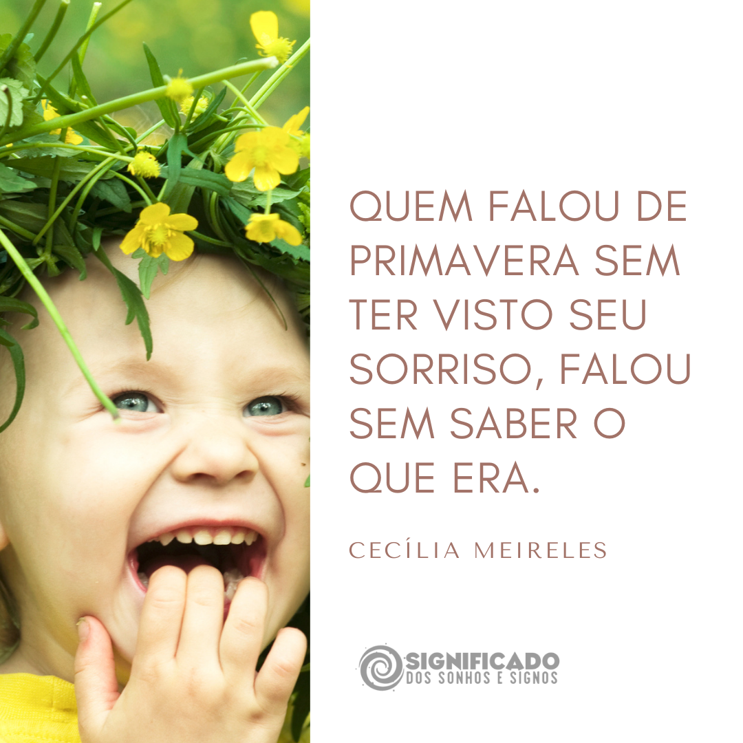 Citação de Cecília Meireles Citação de Cecília Meireles