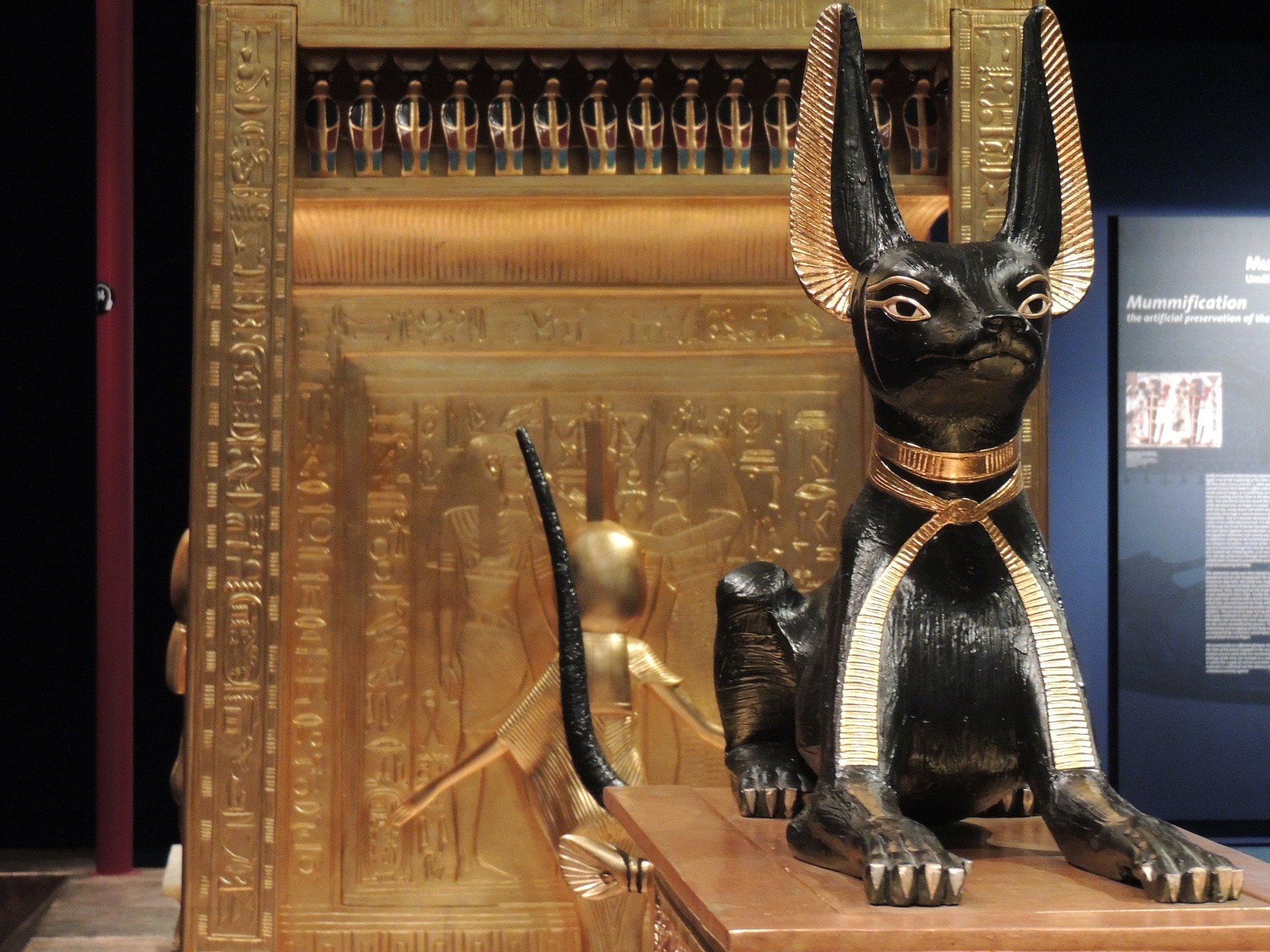 história gato preto história gato preto