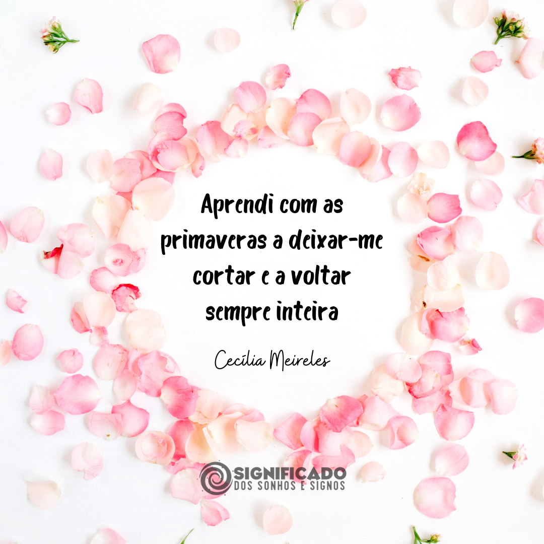 Frase romântica de Cecíliia Meireles Frase romântica de Cecíliia Meireles