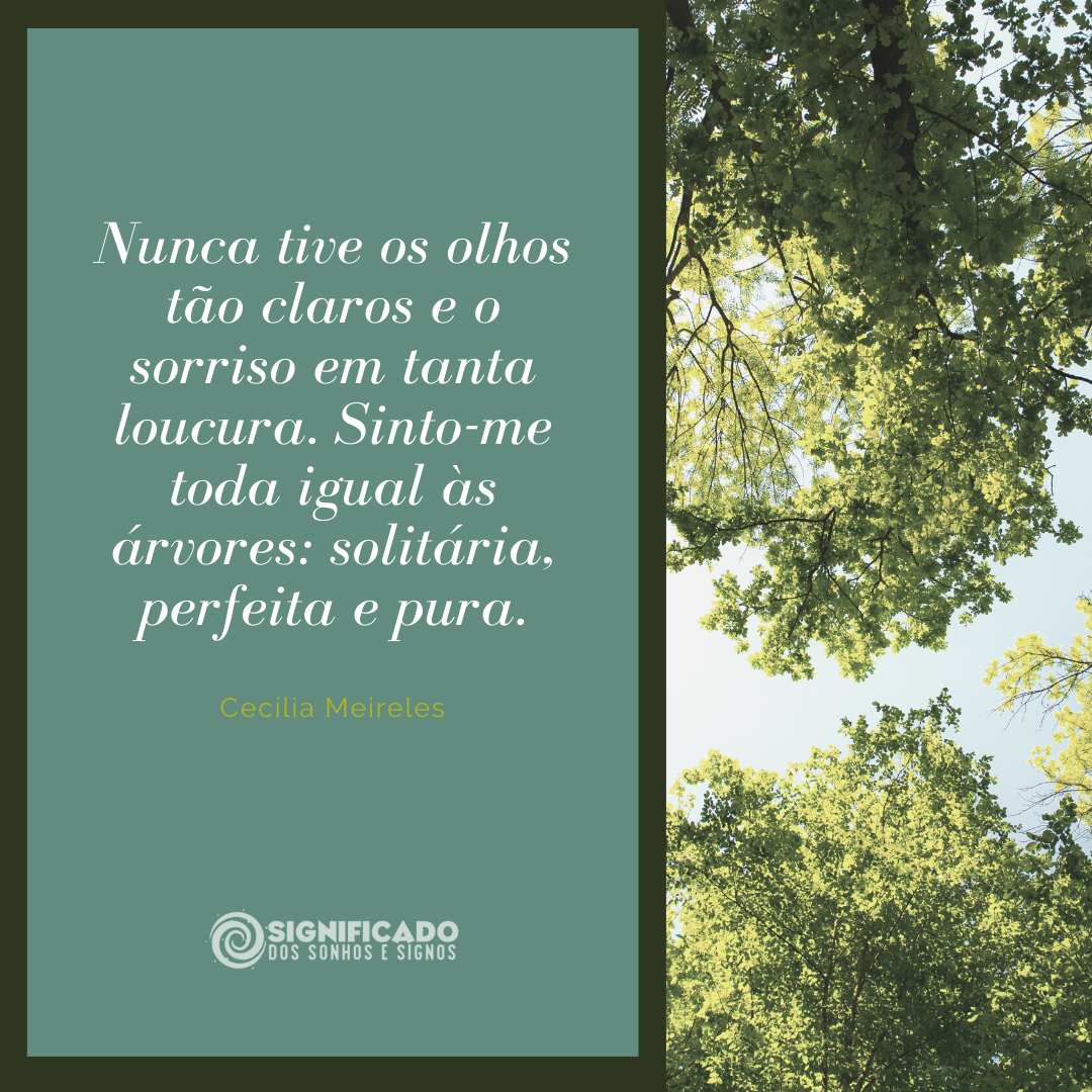 Poema Cecília Meireles Poema Cecília Meireles