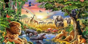 animais signos