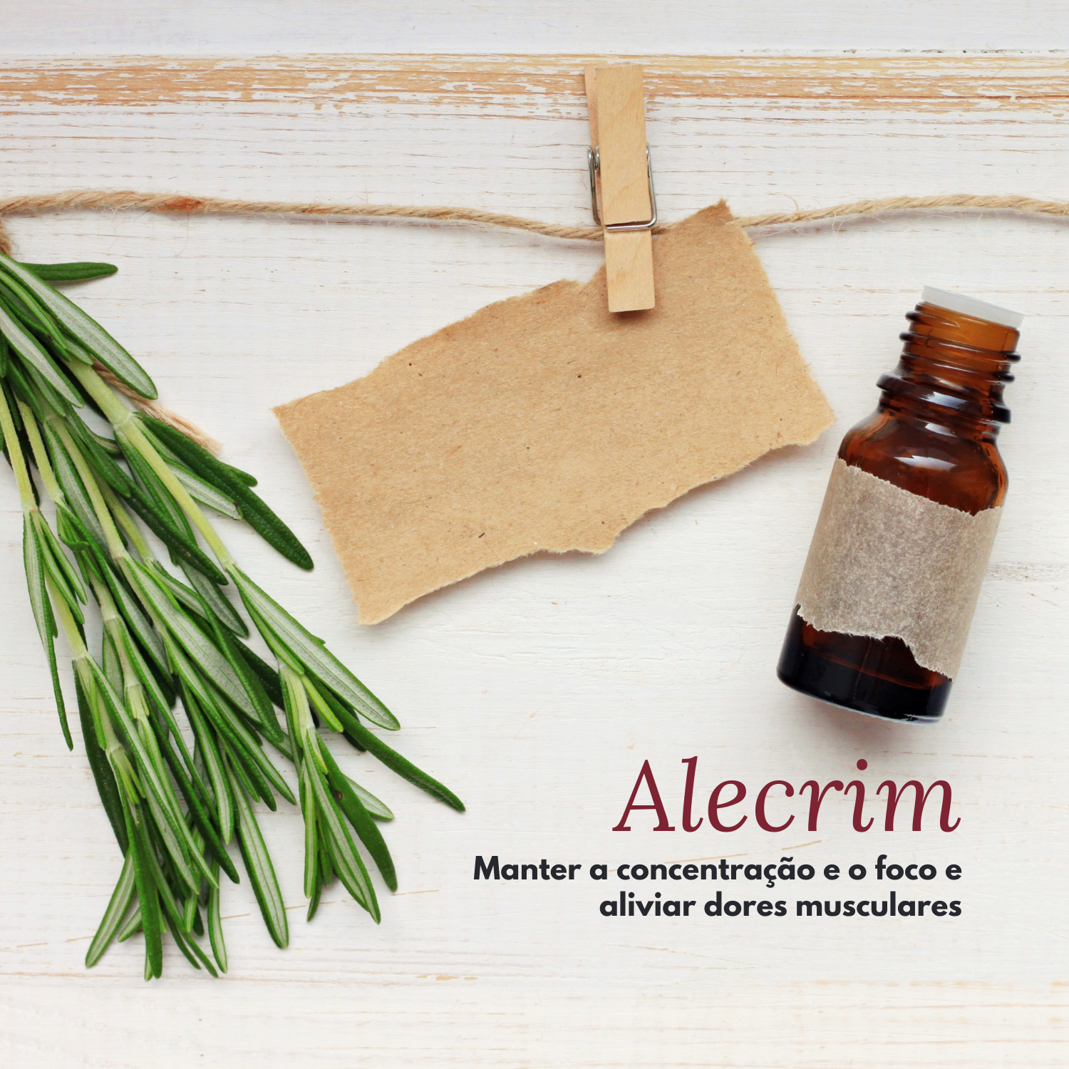 para que serve alecrim aromaterapia para que serve alecrim aromaterapia