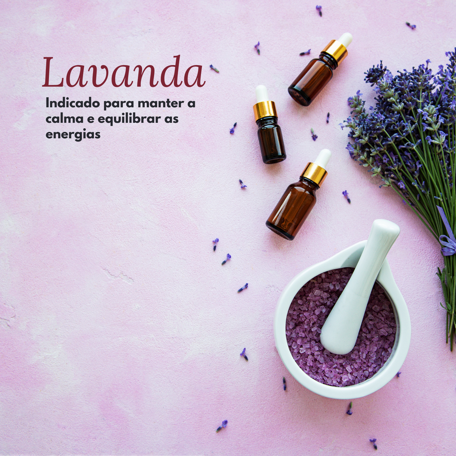 para que serve lavanda aromaterapia para que serve lavanda aromaterapia