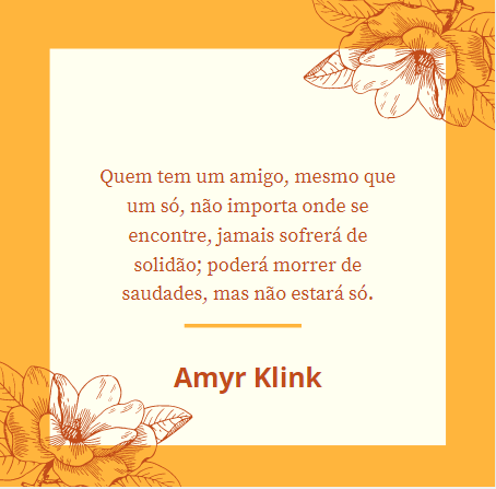 Frases Amyr Klink