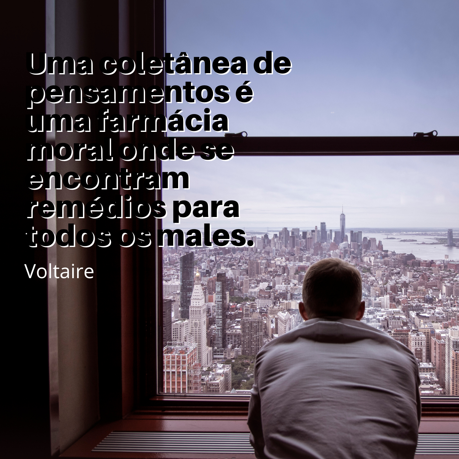 Voltaire - Frases para Mensagens e Status