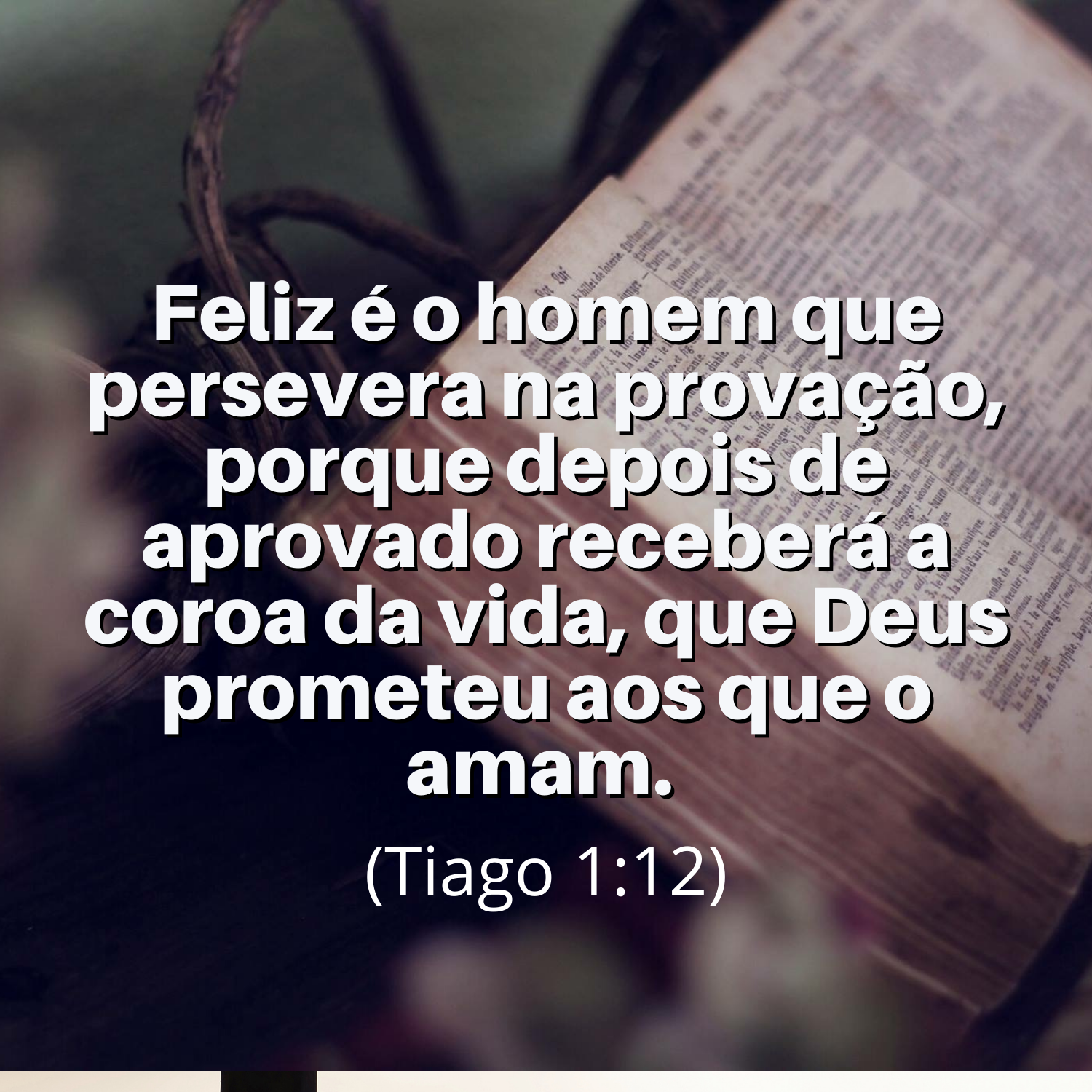 Frases para status de Deus Frases para status de Deus