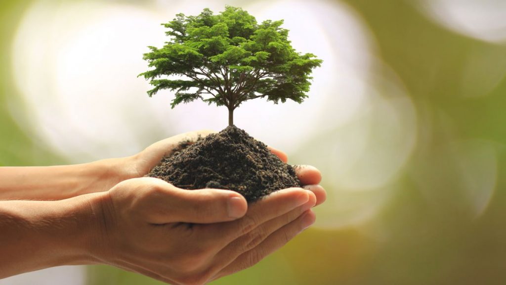 Prosperidade em Deus: Salmos 1 Prosperidade em Deus: Salmos 1