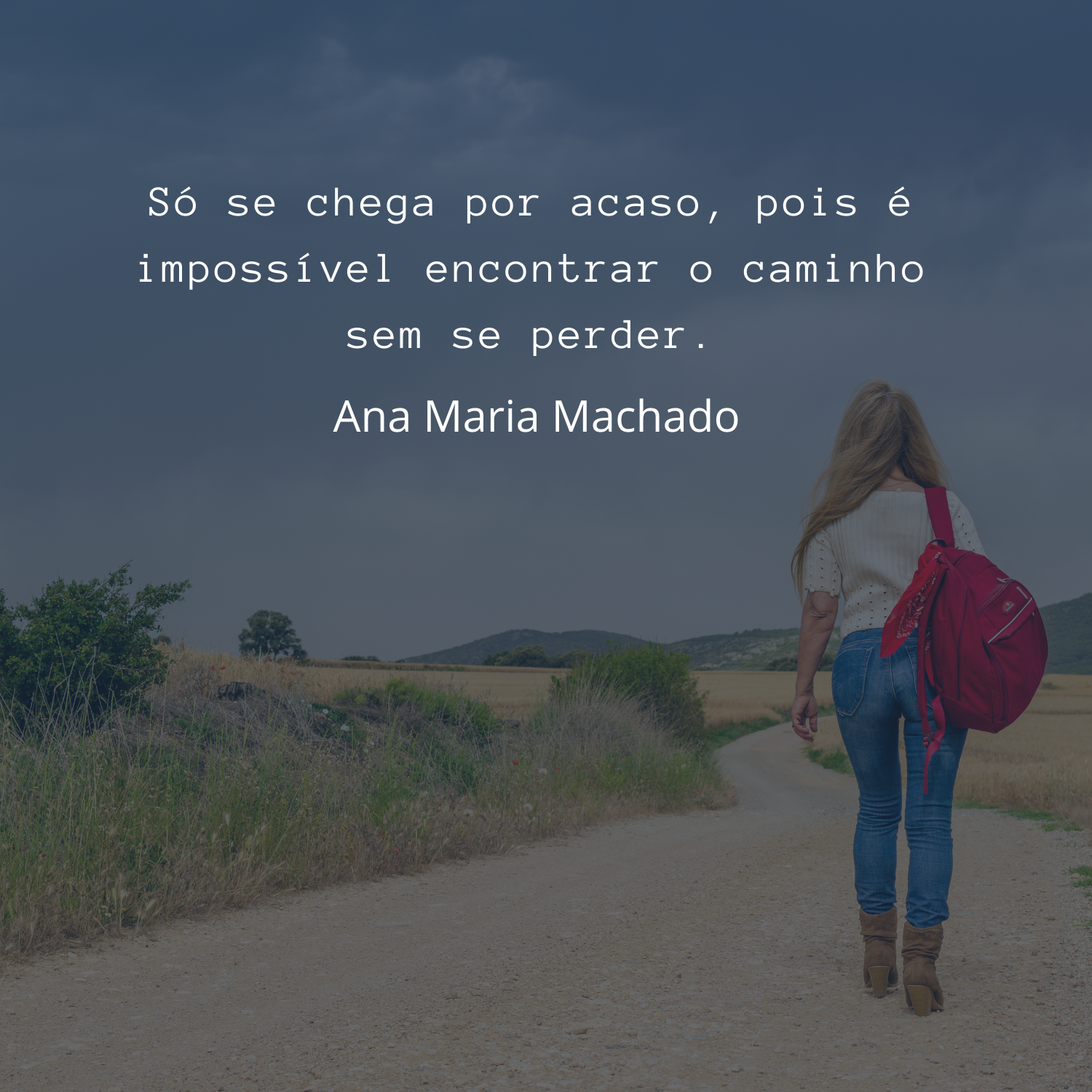 Frases Ana Maria Machado - Poesias Para Mensagens, Fotos e Status