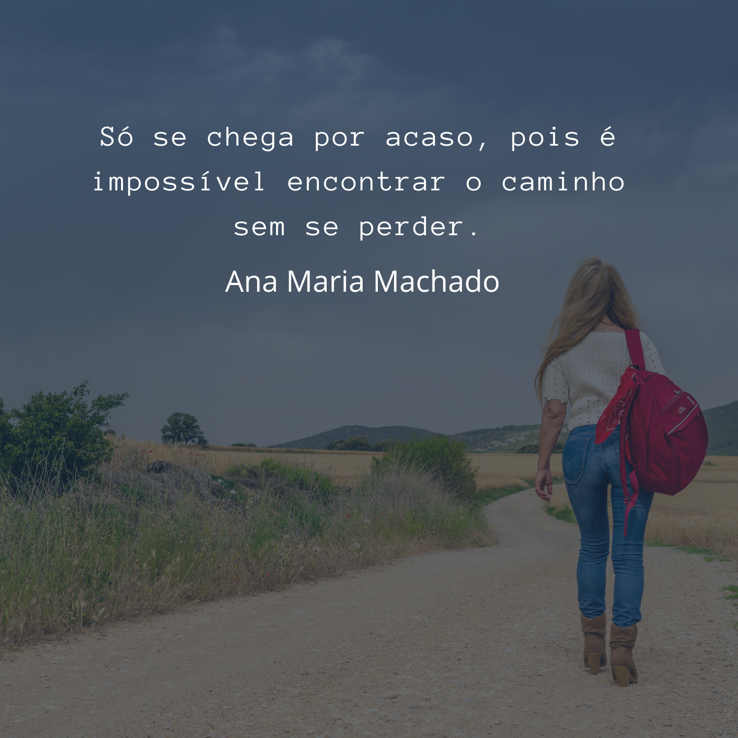 Frases Ana Maria Machado - Poesias Para Mensagens, Fotos e Status Frases Ana Maria Machado - Poesias Para Mensagens, Fotos e Status