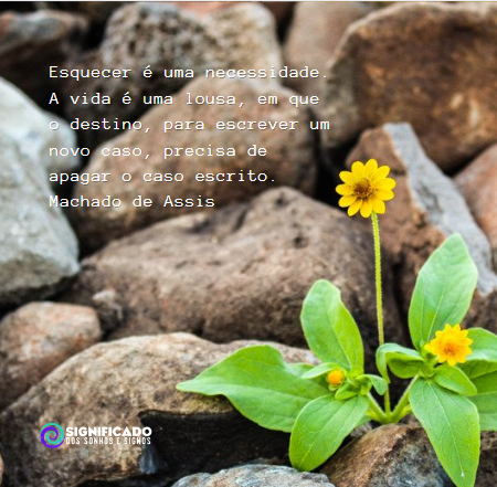 Frases Machado de Assis - Poesias Para Mensagens, Fotos e Status Frases Machado de Assis - Poesias Para Mensagens, Fotos e Status