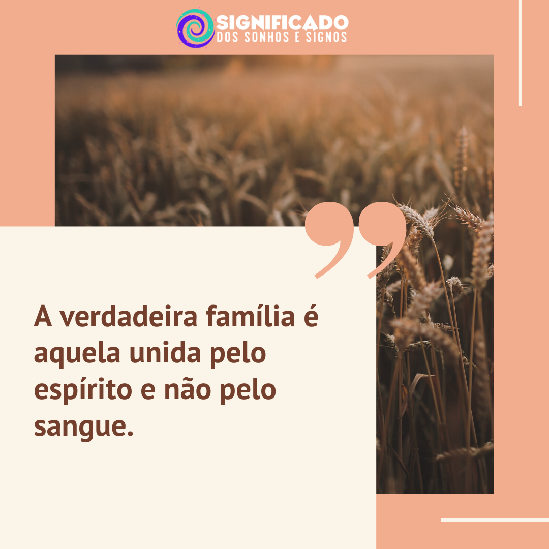 Frases de Família: as melhores para compartilhar! Frases de Família: as melhores para compartilhar!