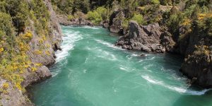 Sonhar com água de rio Um ALERTA ou algo BOM