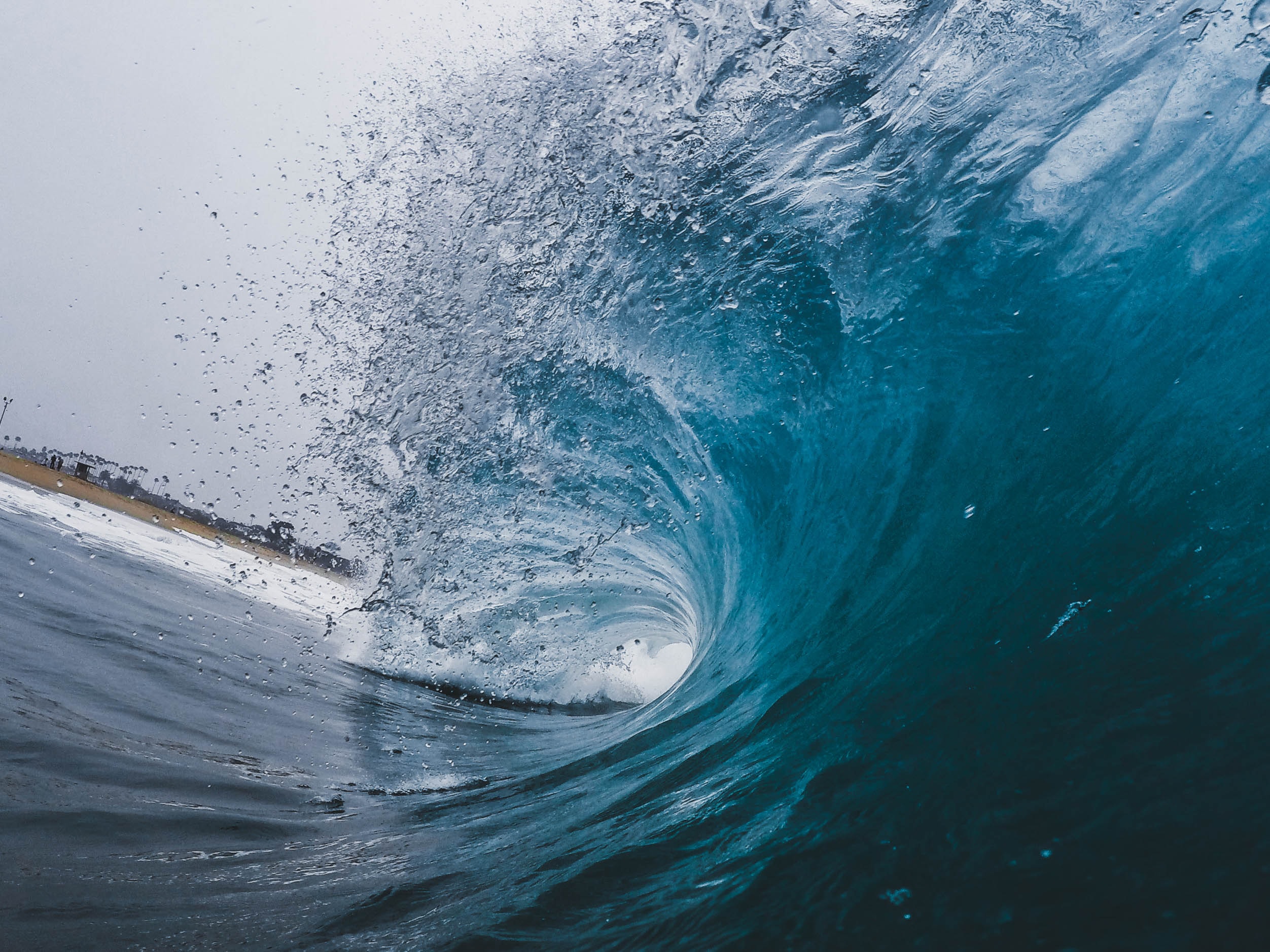 (Imagem: Jeremy Bishop/ Unsplash)