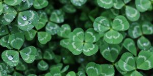 (Imagem: Yan Ming/ Unsplash)