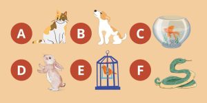 TESTE VIRAL escolha um animal doméstico e descubra sua maior qualidade