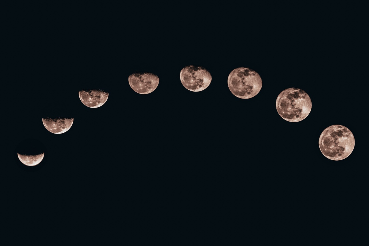 (Imagem: Sanni Sahil/ Unsplash)