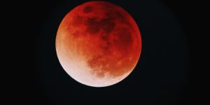 (Imagem: Yu Kato/ Unsplash)