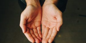 (Imagem: Andrew Moca/ Unsplash)